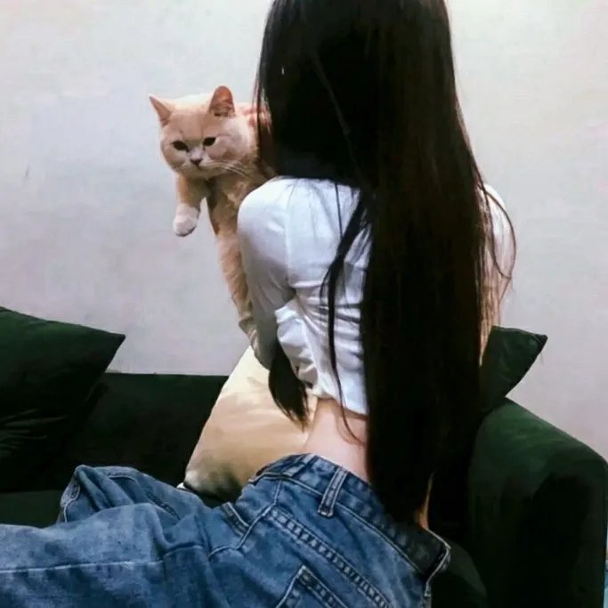 第六感追缉令